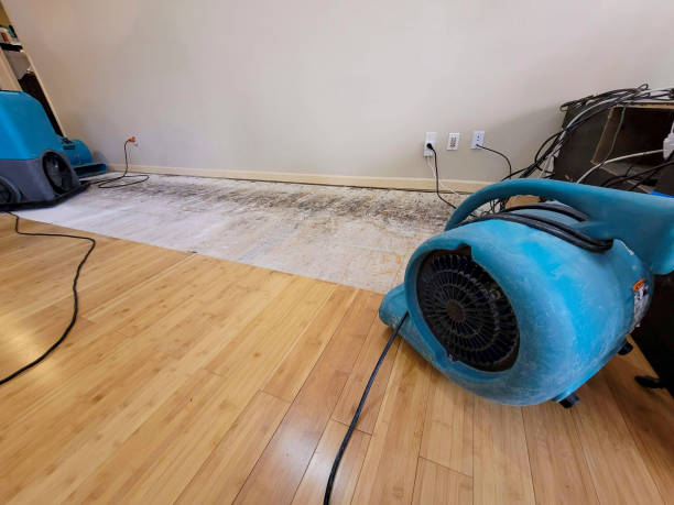 Professional Burst Pipe Water Damage technician working in Nettleton, MS